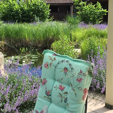Kattevennenbos Zutendaal